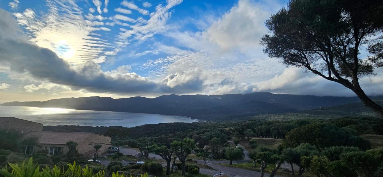 Chalereux T2 Vue Mer Et Piscine Alba Rossa Serra-di-Ferro  Luaran gambar