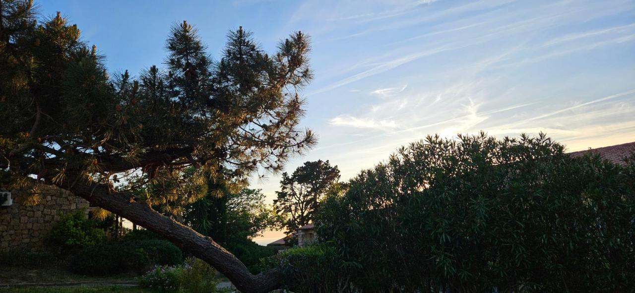 Chalereux T2 Vue Mer Et Piscine Alba Rossa Serra-di-Ferro  Luaran gambar
